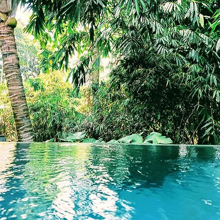 Ngesil Private Joglo & Pool Ubud Exterior foto