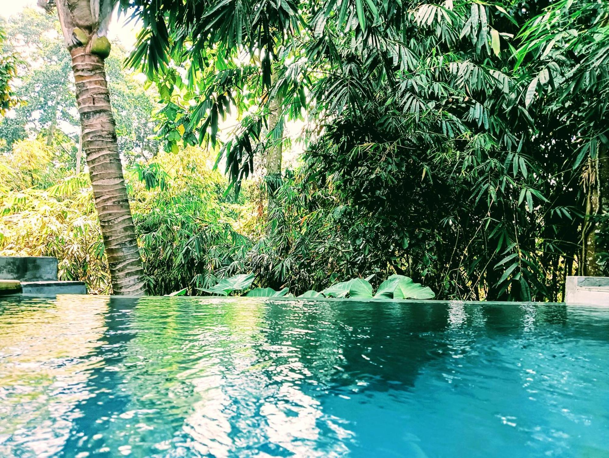 Ngesil Private Joglo & Pool Ubud Exterior foto